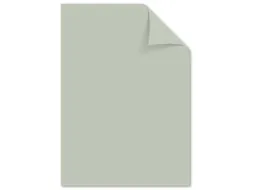 Papier Kangaro A4 160 grams pastel grijs pak 50 vel