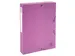 Klasseerdoos rug 40m m PP Forever Young