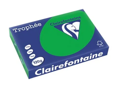 Trophée Intens Gekleurd Papier A4 120 gram 250vel Biljartgroen
