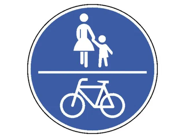 verkeersbord,gemeenschappelijk voet-/fietspad,conform StVO,aluminium