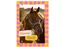 Wenskaart Hallmark uitnodiging paarden pak à 6 stuks