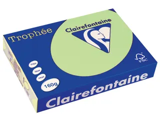 Trophée Pastel gekleurd papier A4 160 gram 250vel Groen - 1