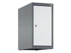 opzetkast,v. locker,1vak.,vak B 250mm,HxBxD 500x250x500mm,vleugeldeur