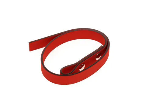 R19991019 Vervangingsband 490mm voor bandsleutel