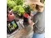 Rugged Folio Toetsenbord/hoes iPad (7/8e gen.) Azerty FR Bluetooth