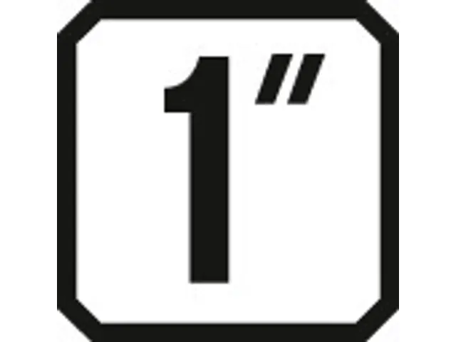 K 21 S 32 Schroevendraaierbit 1 inch 32mm