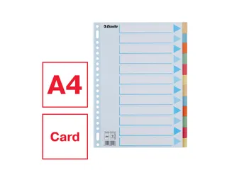 Tabbladen Esselte Premium A4 12-delig karton 23-rings assorti - 8