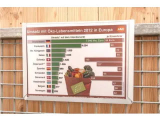 zichtpaneel,DIN A4,staand,grijs,achterzijde magnetisch - 6