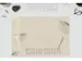 Designonderlegger Sigel Natural Leaves 26/27 59,5x41cm 30 vel 80 grams
