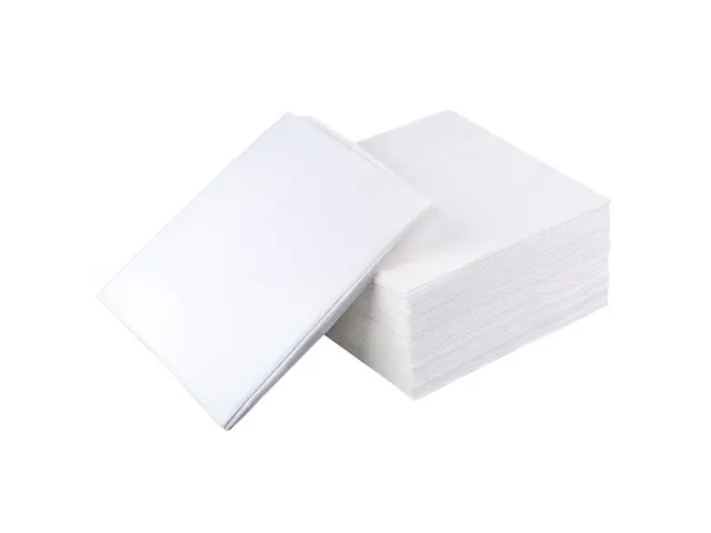 Poussières Elix 34x33cm paquet électrostatique 50 pcs.