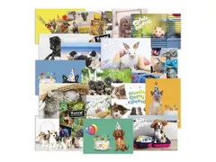Beloningsposter-kaart De Stulp thema dieren A4 assorti