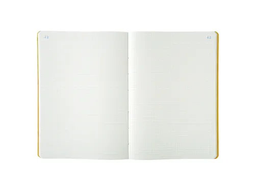 Piqure 29,7x21 Q5x5 80 bl