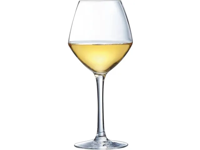 Chef & Sommelier Cabernet Vins Jeunes Wijnglas 35cl, doos 6 stuks