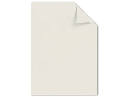Kopieerpapier PaperWise A4 Natural 72 gram doos a 5 pakken