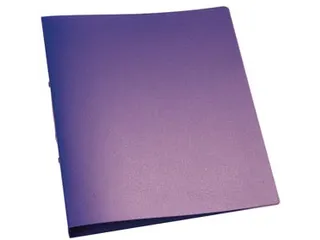 Ringmap A4 PP 2 Ringen 25mm Transparant Violet - 1