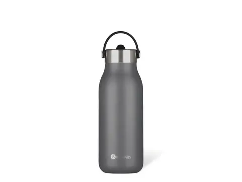 Thermosfles 2.0 Les Artistes Paris 1000ml Grey met Rietje