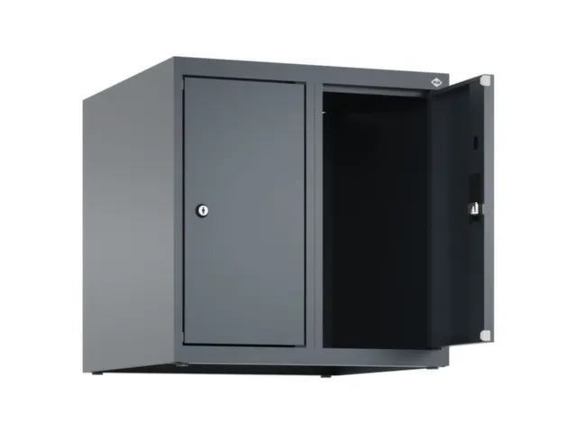 opzetkast,v. locker,2vak.,vak B 250mm,HxBxD 500x500x500mm,vleugeldeur