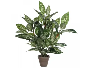 Vepa Bins Dieffenbachia - 1