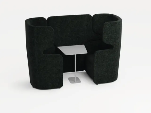 Zitgroep 2Fauteuils Tafel Geluidabsorberend Antraciet 1320x2200x860mm