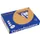 Trophée Pastel gekleurd papier A4 80 gram 500vel Caramel bruin