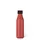 Thermosfles Les Artistes Paris 500ml Red