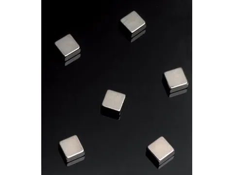 Naga Magneten Voor Glasborden 6 Stuks