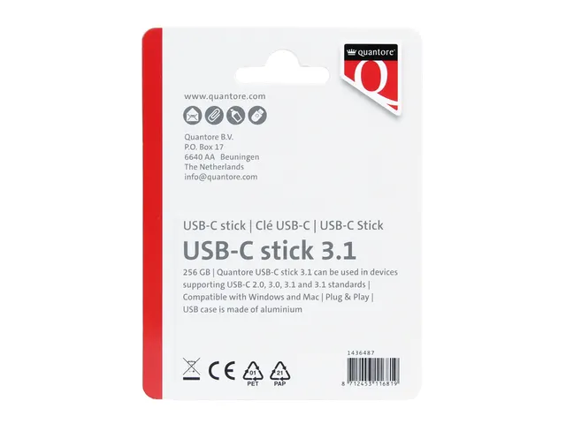 USB stick 3.1 Quantore USB-C 256GB zilver