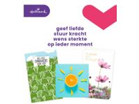 Wenskaart Hallmark navulset beterschap/sterkte 12 kaarten