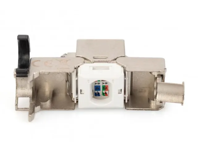 CAT 6A Keystone Module afgeschermd met intelligente kabelmanager 24st