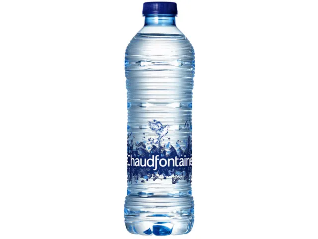 Water Chaudfontaine blauw petfles 500ml