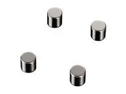 Glasbordmagneten Naga 10x10xmmcylinder set a 4st. zilver