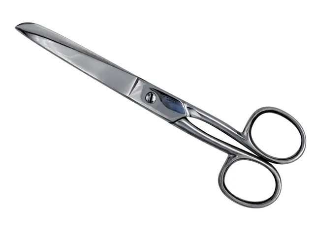 Schaar 155mm roestvrijstaal rechtshandig