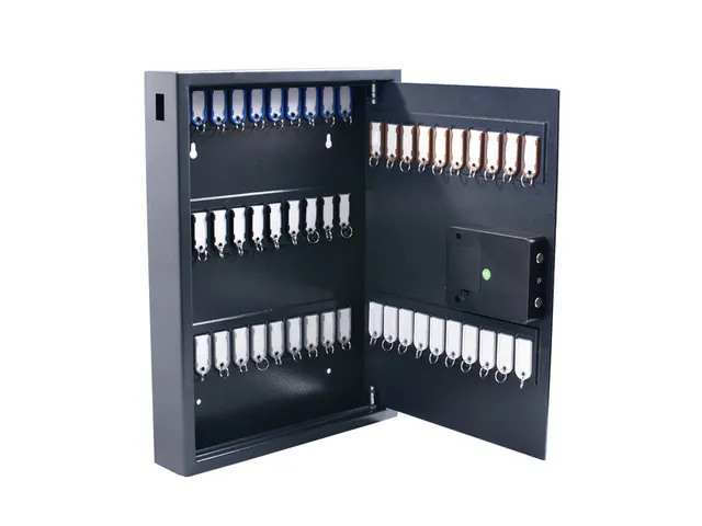 Armoire à clés Pavo High Security Magnettag 50 crochets 575x450x77mm