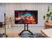Explore 2 Professional Touch Monitor 65 inch + mobiel onderstel