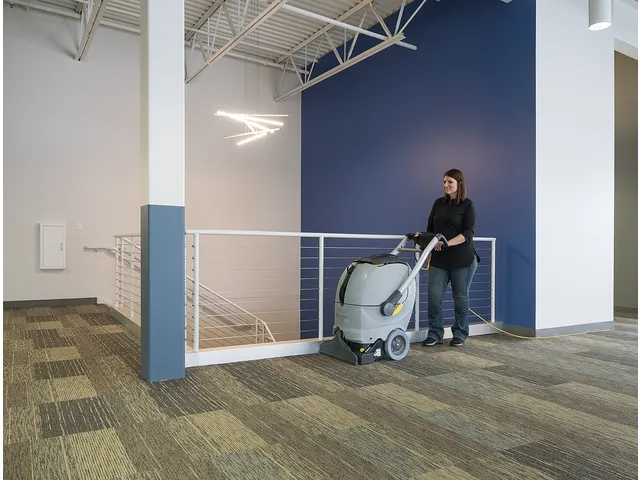 Tapijtreiniger Stofzuiger ES300