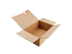 Postdoos Packfix Bruin Enkelgolf 305x215x140mm 20 Stuks