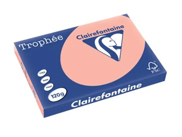 Kopieerpapier Trophee A3 120 Gram Perzik