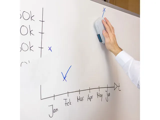 Whiteboardwisser (spons) Schneider 296 lichtgrijs