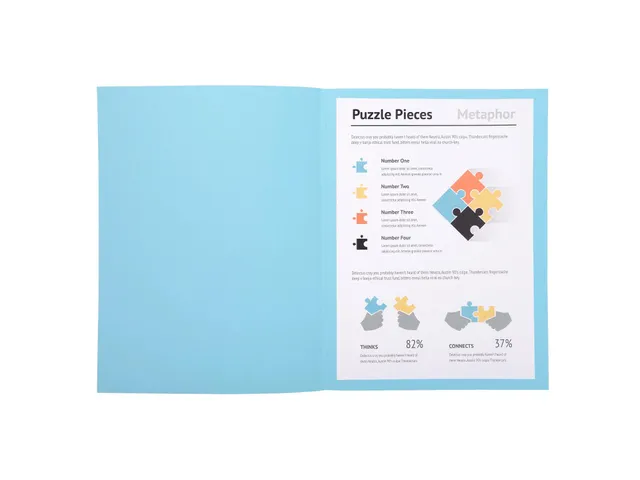 100 Dossiermappen Super 250 24x32cm Assorti