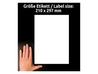 Etiket Avery Zweckform LR3478 210x297mm A4 recycled Wit 100 stuks - 4
