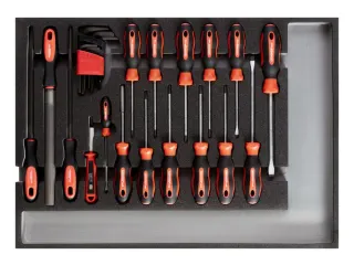 R22350002 Gereedschapsset schroevendraaier + vijlen CT-module 26-delig - 1