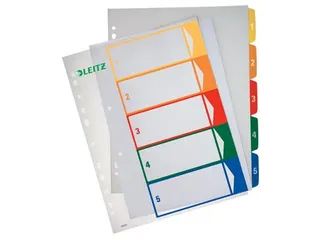 Esselte Pc Printbaar Project Indexen A4+ 11-Gaats 5-Delig Assorti - 1