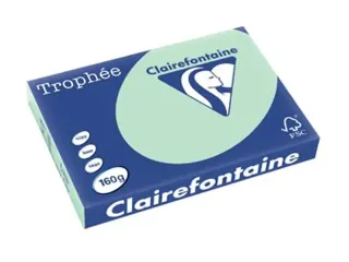 Trophée Pastel gekleurd papier A3 160 gram 250vel Groen - 1