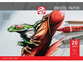 Bristol papier 250 g 21 x 29,7 cm A4 20 vel - 1