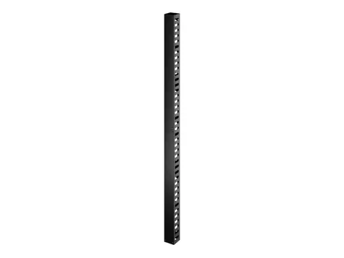 Easy rack Verticale kabelmanager 42U, voor racks van 800 mm