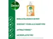 Dettol Handzeep Nourish Antibacterieel Honing & Vanille 250ml