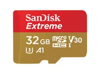 SanDisk Cartes Micro SDHC