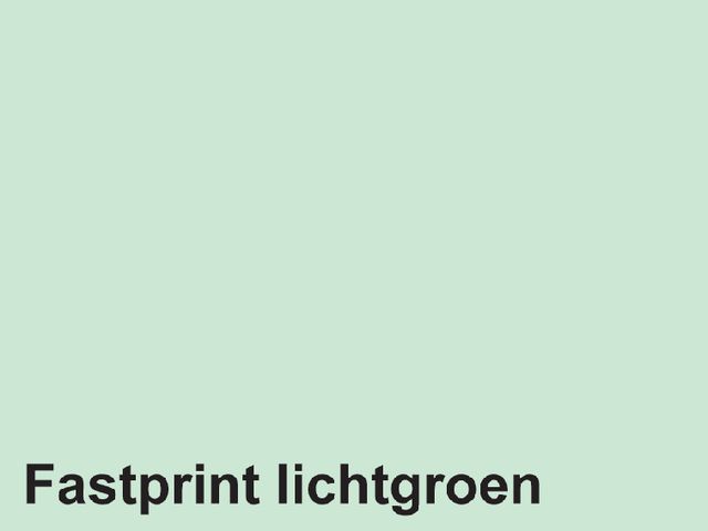 onderpand injecteren Oude man Kopieerpapier Fastprint A4 120 Gram Lichtgroen 250vel | FastprintShop.nl