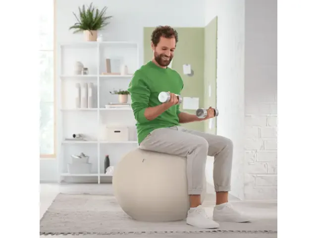 Leitz Ergo actieve zitbal anti-rol met stop-functie 75cm lichtgrijs