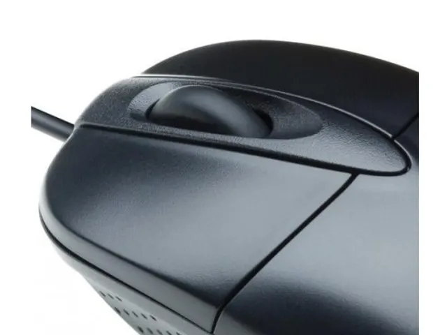 Optische USB Muis Deluxe Zilver